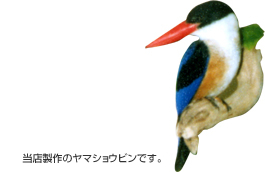 当店製作のヤマショウビン